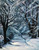 Winter Wood, Bute by David Gardner