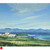Iona Machair by David Gardner SOLD