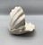 Pearl White Double Clam Shell with Polished Finish by Monika Krajewska, Maison Fragile SOLD