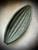 Charred 'Fennel Seed' Elm Dish by Kenny Woods SOLD