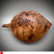 Mini 'Leaf Bowl' Hand-Carved Burr Elm  by Kenny Woods SOLD