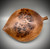 'Leaf Bowl' Hand-Carved Burr Elm Dish by Kenny Woods SOLD