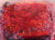 Back Garden Reds by Bridget Hunter