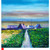 Village at Port of Ness, Isle of Lewis by Jolomo SOLD