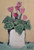 Cyclamen in Cream Pot 1 by Mary McDonald SOLD