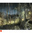 Light and Shade by Sandra Moffat SOLD