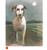 Moon Dog by Donald MacLeod SOLD