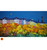 Autumn Moon Park Terrace Glasgow SOLD 