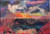 Springtide Sundance by Jane Birrell