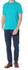 Men Shirt Polo US Polo Turquoise, slim fit, navy logo