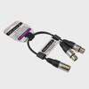 LEAD XLR MALE TO 2 XLR FEMALE 1' ZP-YXLRMXLRFD-1 Y-TYPE STUDIO Z