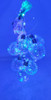 FAIRY LIGHT 10 BULB LED LE24