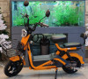 ELECTRIC BIKE SAIGE MODEL G60 12AH EBIKE