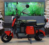 ELECTRIC BIKE SAIGE MODEL Q5 20AH EBIKE
