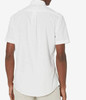 Men Shirt US Polo Short Sleeve Button Down White