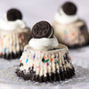 NABISCO OREO MINI SANDWICH COOKIES GO-PAKS! 3.5oz 99g