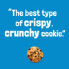 NABISCO CHIPS AHOY! ORIGINAL COOKIES FAMILY SIZE! 1lb 2.2oz 515g