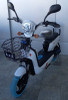 ELECTRIC BIKE TOP ONE 3-SPEED WITH MIRRORS, TURN SIGNALS, ALARM AND CHARGER EBIKE