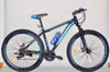 BICYCLE 29" GENTS SINGH TRIAL SS2910 STEEL MTB