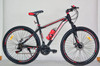 BICYCLE 29" GENTS SINGH TRIAL SS2910 STEEL MTB