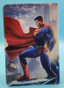 TABLET CASE FOR 9" UNIVERSAL WITH CHARACTER / Superman