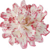 BAKING WILTON GUM PASTE CUT-OUTS PEONY 4PCS SET 417-2574