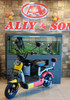 ELECTRIC BIKE XIAO MI DOU 3-SPEED WITH MIRRORS, TURN SIGNALS, ALARM AND CHARGER EBIKE