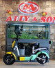 ELECTRIC BIKE XIAO MI DOU 3-SPEED WITH MIRRORS, TURN SIGNALS, ALARM AND CHARGER EBIKE