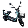 ELECTRIC BIKE SAIGE KUGE 500W 48V20AH