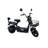 ELECTRIC BIKE SAIGE KUGE 500W 48V20AH