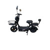 ELECTRIC BIKE SAIGE KUGE 500W 48V20AH