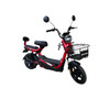 ELECTRIC BIKE SAIGE KUGE 500W 48V20AH