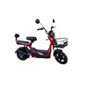ELECTRIC BIKE SAIGE KUGE 500W 48V20AH