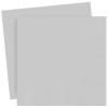 PARTY NAPKINS TISSUE COLORED 20PCS PACK TI144