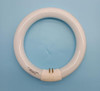 LAMP CIRCLE TUBE 8" JADCO/PREMIUM FC8T9/D/RS 22W DAYL