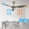 FAN 52" CEILING REIGA YFT-7062-GN