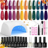 Nail Beetles Gel Polish Kit w/36W Lamp 12 Colors