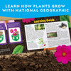 Toy National Geographic Flower & Herb Gardening Kit
