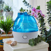 Humidifier AquaOasis Cool Mist