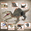 TOY DINOSAUR LEADER LIGHT CHASING REMOTE CONTROL FANDINA