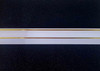CEILING PVC CORNER 19.5'