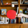 TABLE TENNIS RACKETS PRO SPIN 4-PLAYER SET