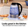 KETTLE HAMILTON BEACH 1.7L 40865G GLASS