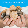 Toy National Geographic Break Open 4 Geodes Science Kit