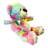 PLUSH TEDDY BEAR COLORFUL