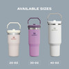 Travel Mug Stanley IceFlow 2.0 Flip Straw Handle Tumbler 30oz