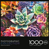 Puzzle Jigsaw Buffalo Games Simple Succulent 1000pcs