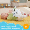 Toy Fisher-Price Puppy Soother Calming Plush