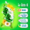 Washing Machine Detergent Gain Flings Odor Defense 112count