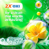 Washing Machine Detergent Gain Flings Odor Defense 112count